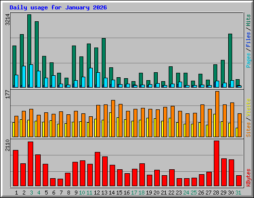 Daily usage for January 2026