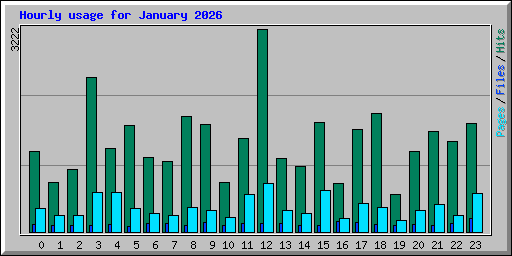 Hourly usage for January 2026