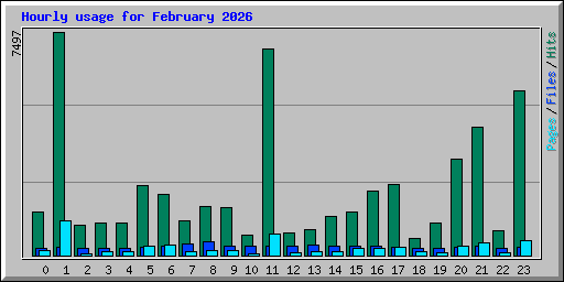 Hourly usage for February 2026