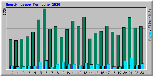 Hourly usage for June 2026