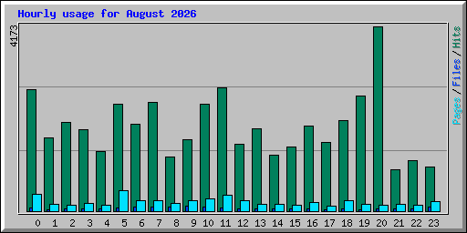 Hourly usage for August 2026